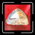 05-0625 * 450 x 450 * (18KB)