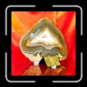 05-0632 * 450 x 450 * (23KB)