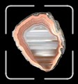 05-clubagate * 420 x 469 * (15KB)